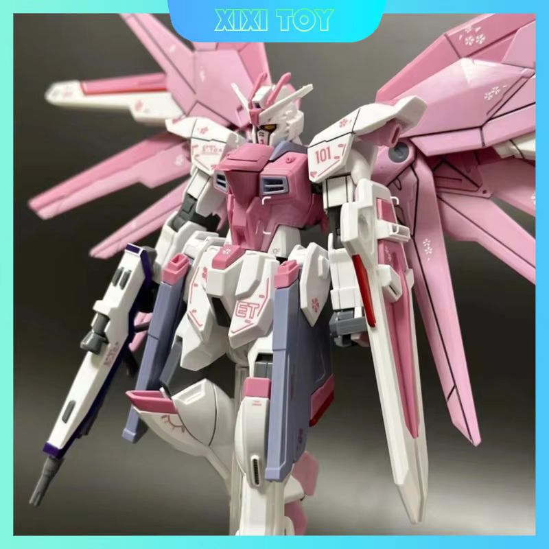 JMS HG 1/144 ZY-06 Freedom Ass - Bandai Gundam Hg recensione e prezzo