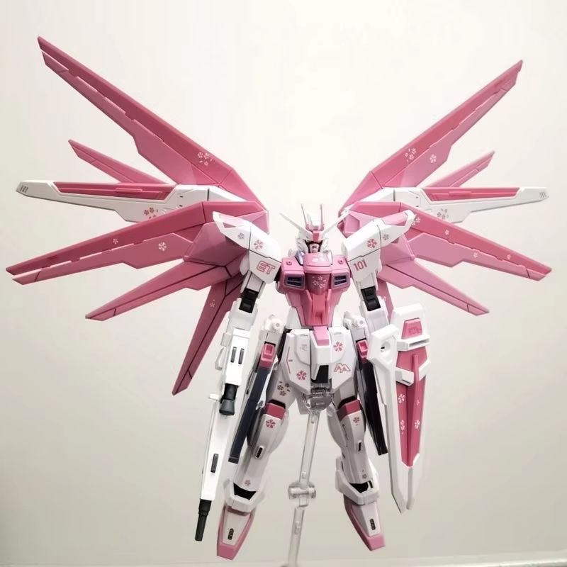 JMS HG 1/144 ZY-06 Freedom Ass - Bandai Gundam Hg recensione e prezzo