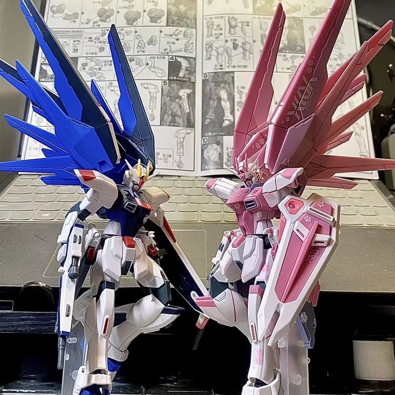 JMS HG 1/144 ZY-06 Freedom Ass - Bandai Gundam Hg recensione e prezzo